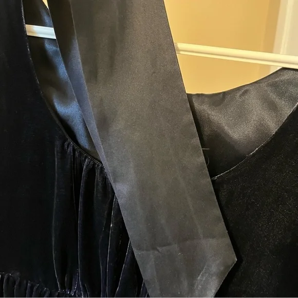 Gap Navy Blue Velvet Silk Dress - Picture 10 of 10